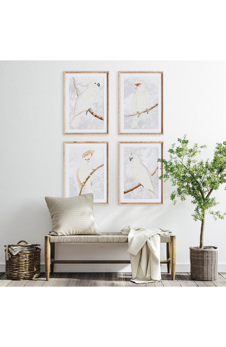 Napa Home & Garden White Cockatoo Prints Framed Wall Art Set of 4, Alternate, color, 