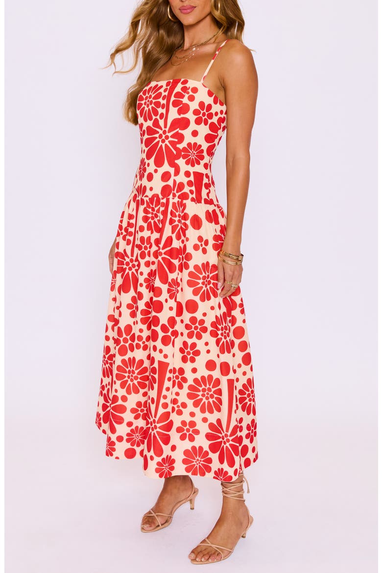 Meadows Sleeveless Fit & Flare Maxi Dress, Alternate, color, CREAM/ RED
