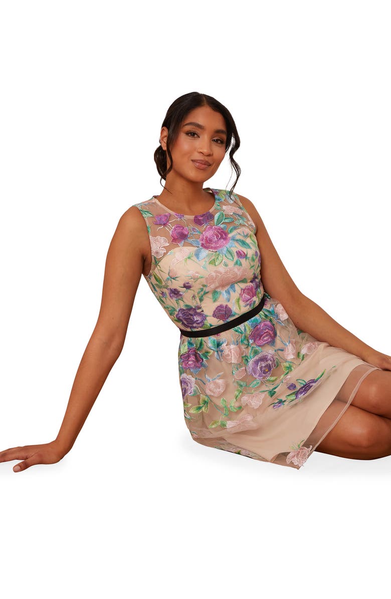 Chi Chi London Embroidered Sleeveless Organza Cocktail Dress, Alternate, color,