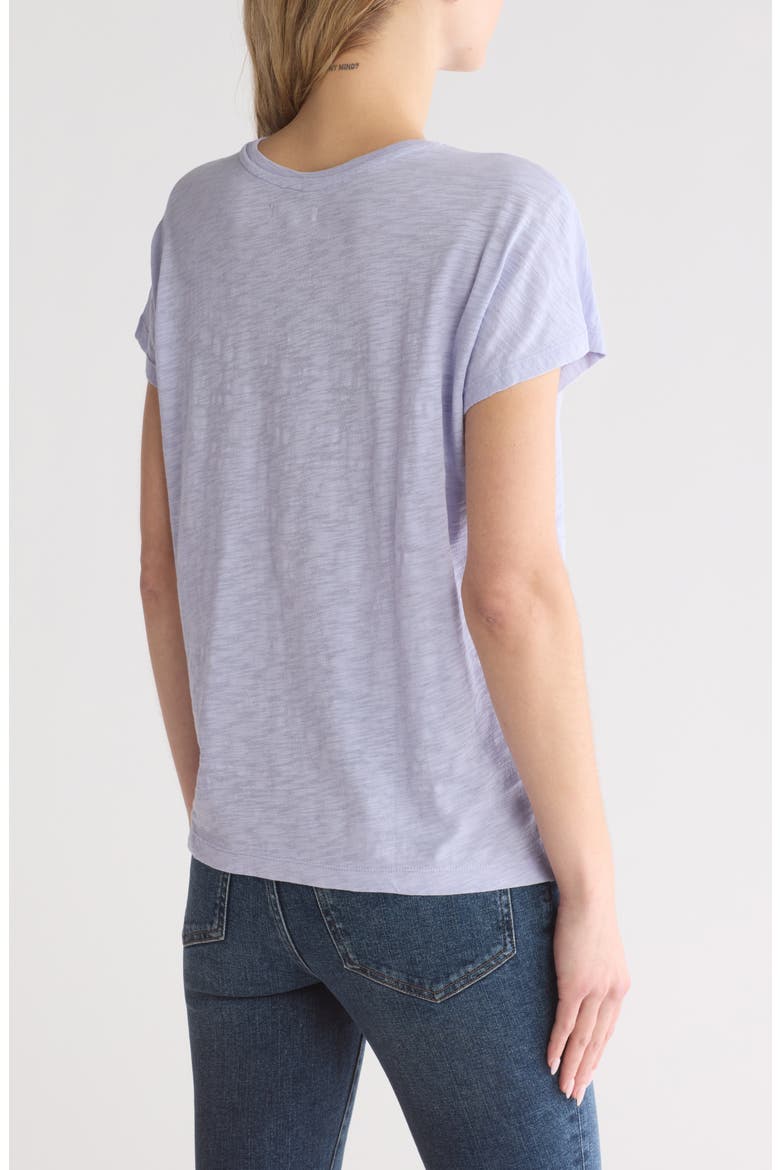 Gauze Slub Knit T-Shirt, Alternate, color, WASHED LAVENDER