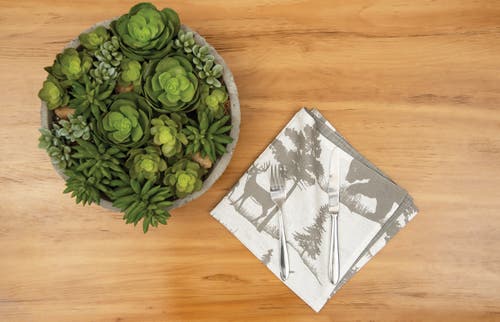 C & F Home C&f Home Henderson Hideaway Reversible Rustic Winter Wilderness Napkin Set Of 6 In Gray