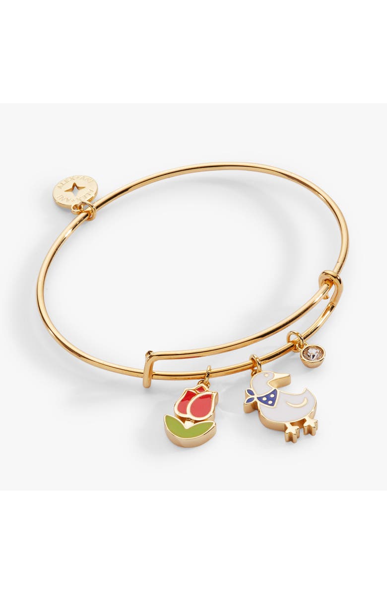 Alex and Ani Garden Party Multi Charm Bangle, Main, color, Gold