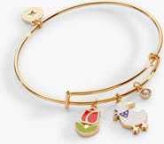 Alex and Ani Garden Party Multi Charm Bangle