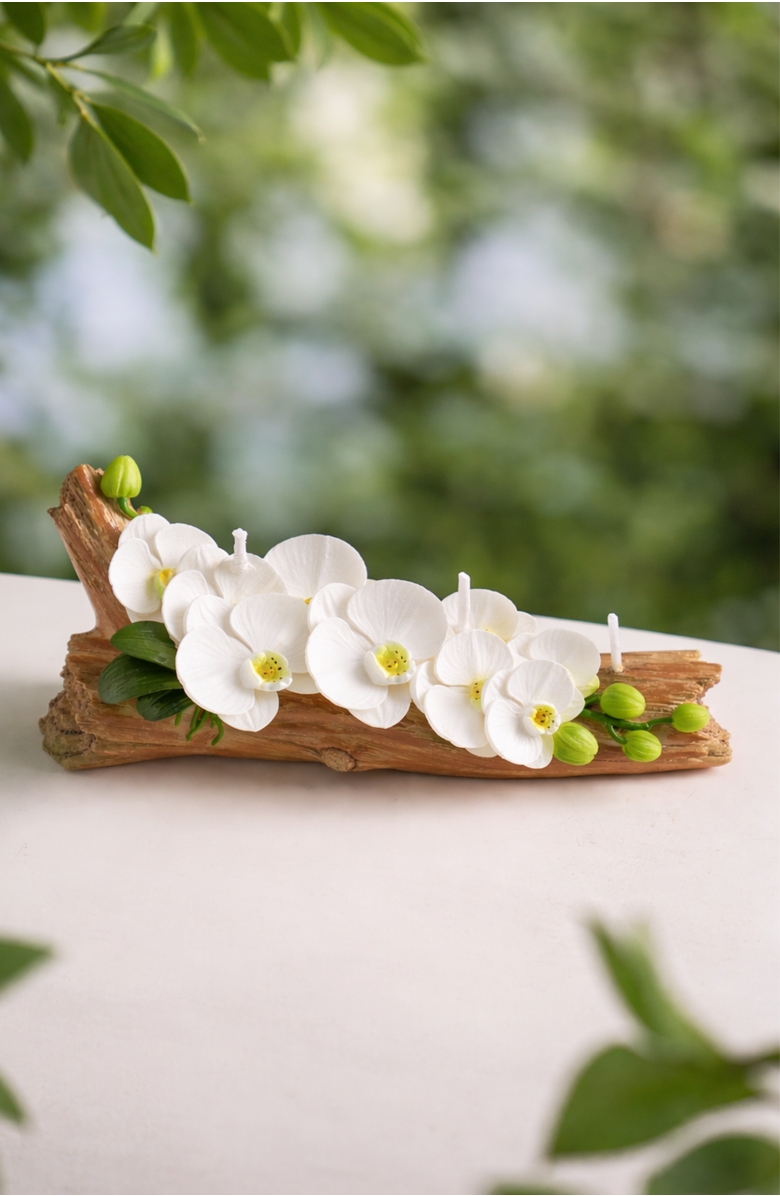 Southlake gifts Orchid Arrangement Candle, Alternate, color, White