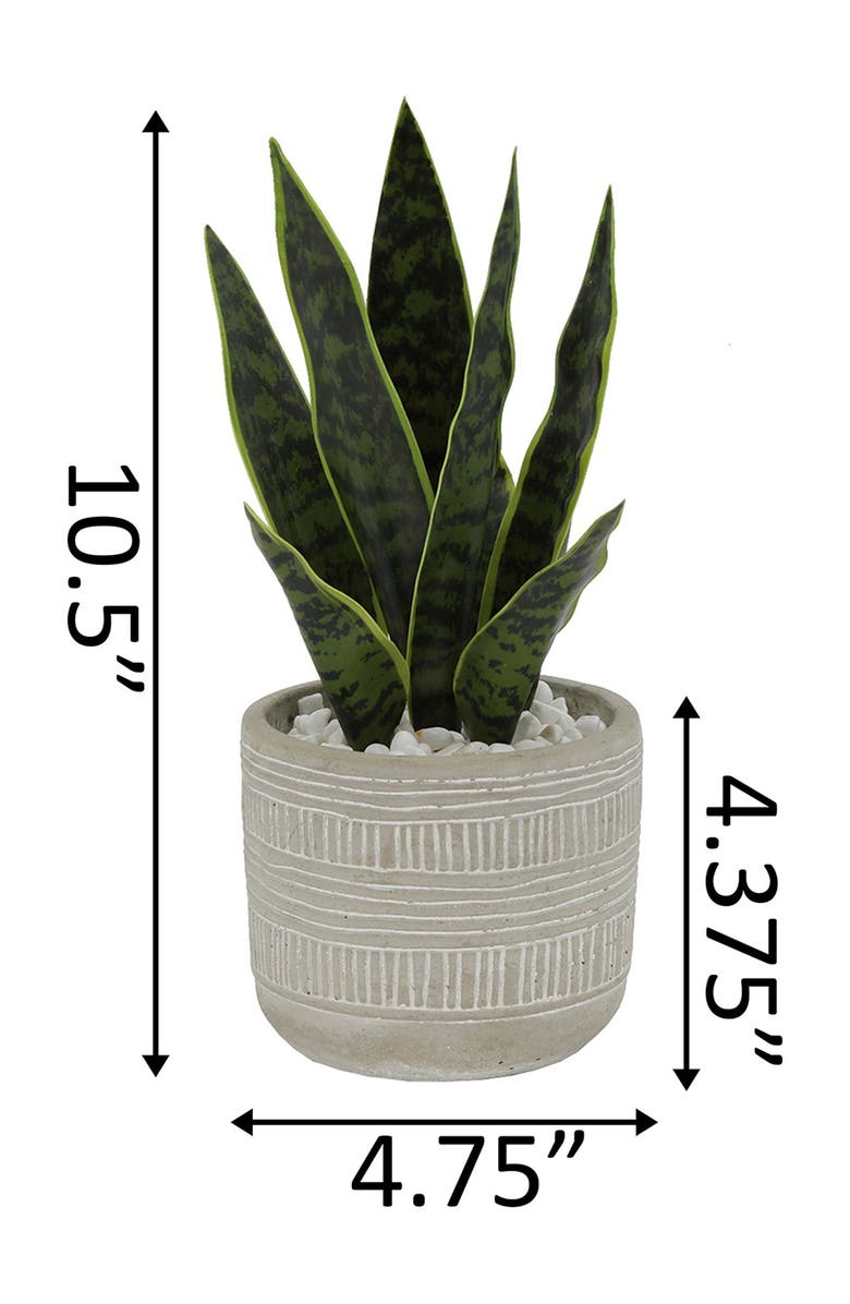FLORA BUNDA Grey Faux Snake Plant Cement Planter, Alternate, color,