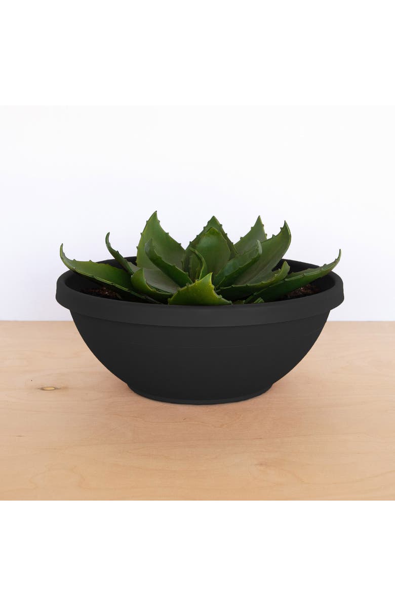 Bloem Terra Plant Bowl Planter 14" Black, Alternate, color, Black