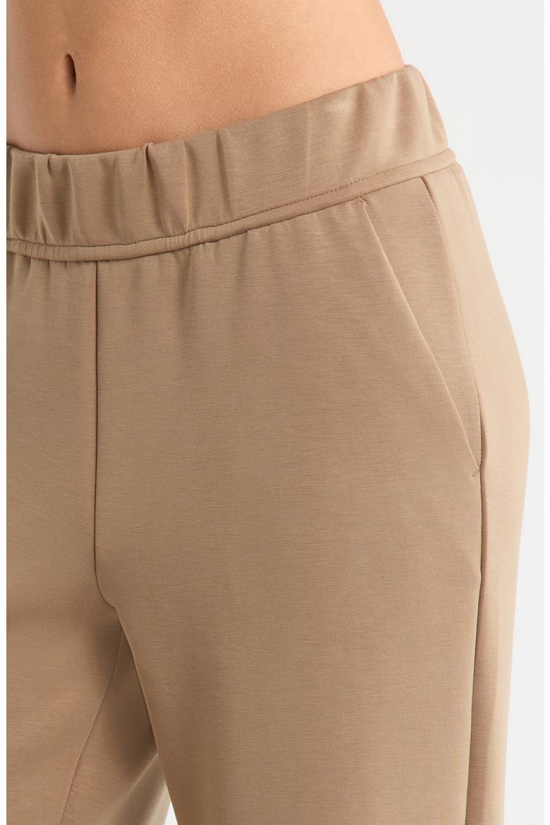 Dreamweave Relaxed Straight Leg Pants, Alternate, color, CARIBOU