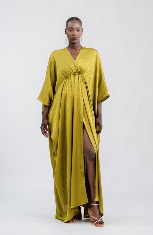 Diarrablu Naim Dress In Ayel Olive