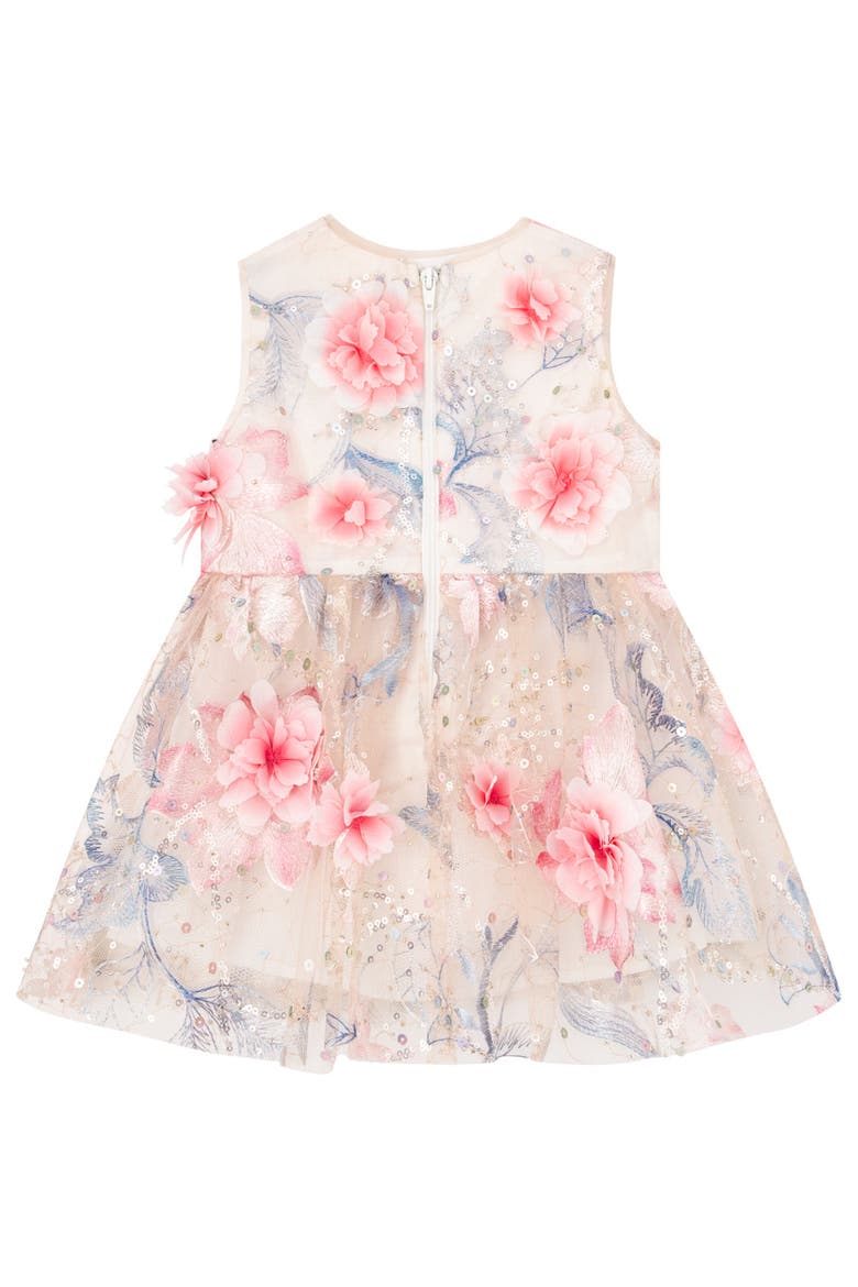 Rosalia Embroidered Mini Dress, Alternate, color, Floral