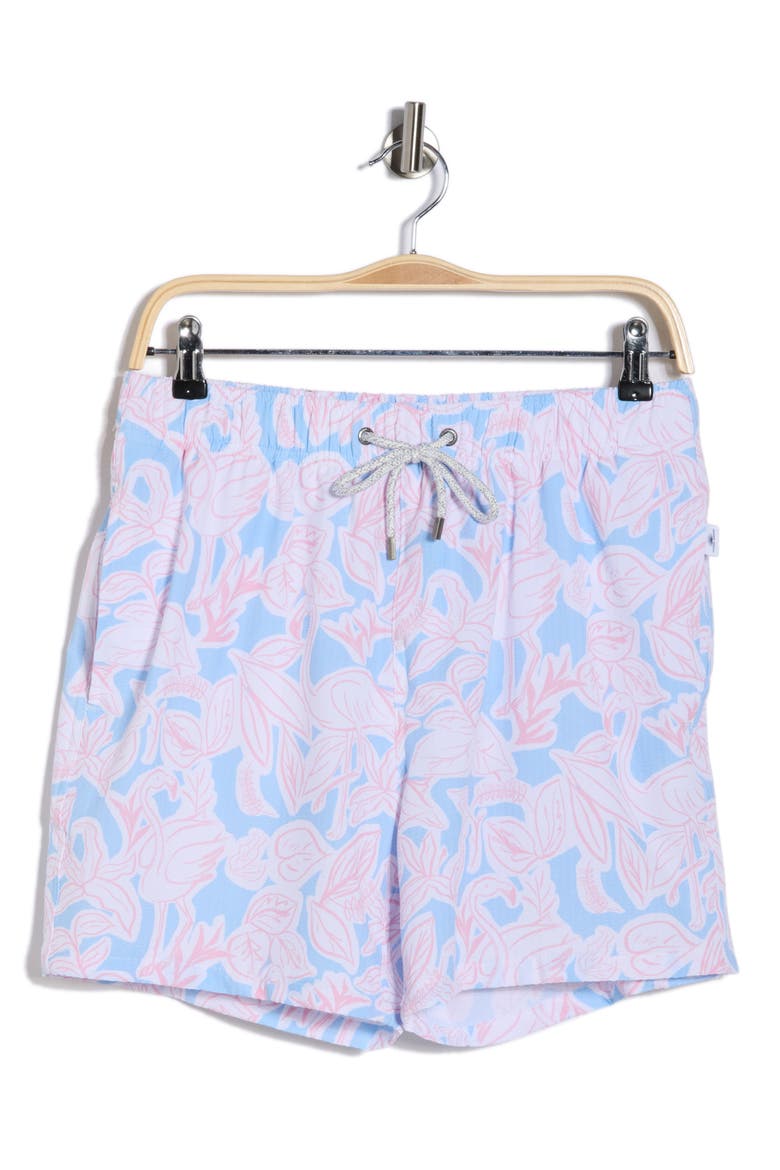 Seersucker Printed Volley Swim Shorts, Alternate, color, BLUE