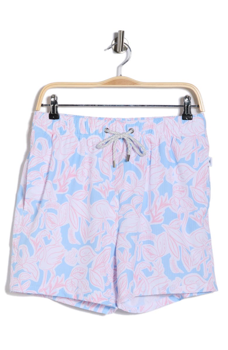 Vintage Summer Seersucker Printed Volley Swim Shorts, Main, color, Blue