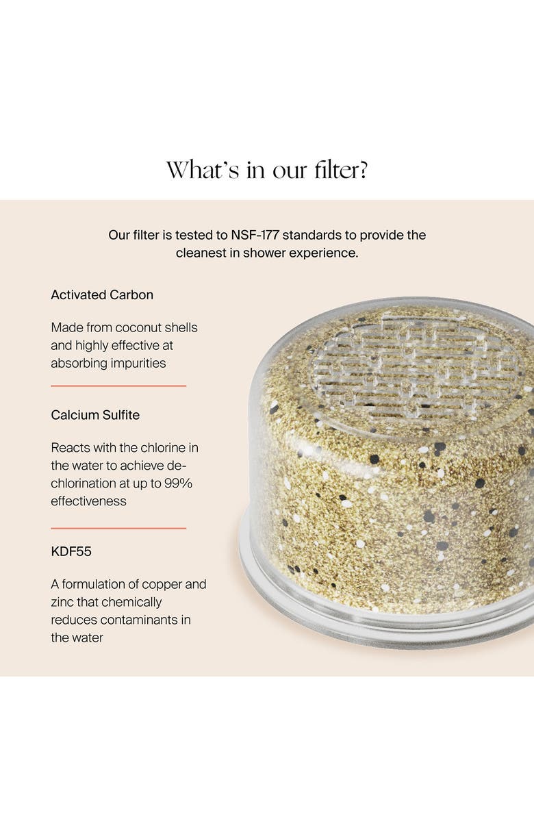 CANOPY Filtered Handheld Showerhead, Alternate, color, Matte Black