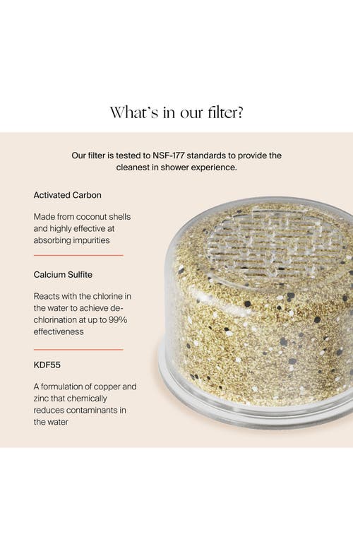 Canopy Filtered Handheld Showerhead In Silver