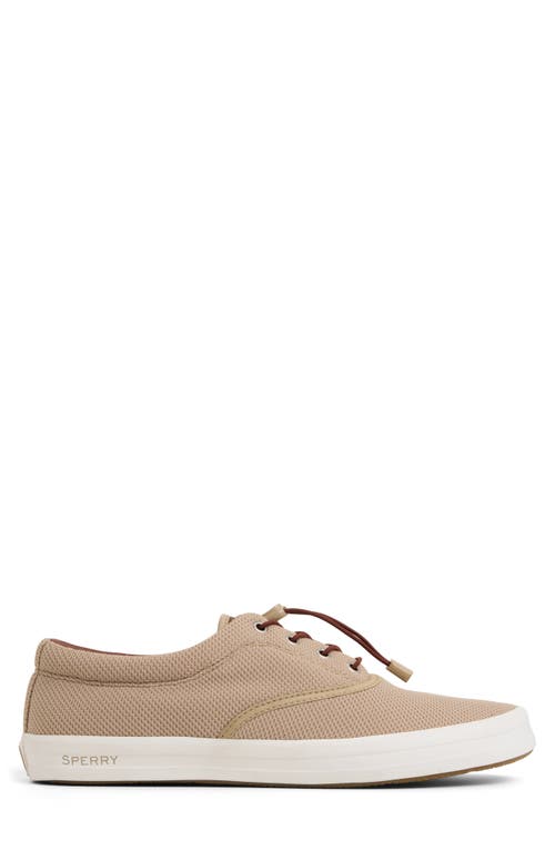 Sperry Fairlead Cvo Sneaker In Tan