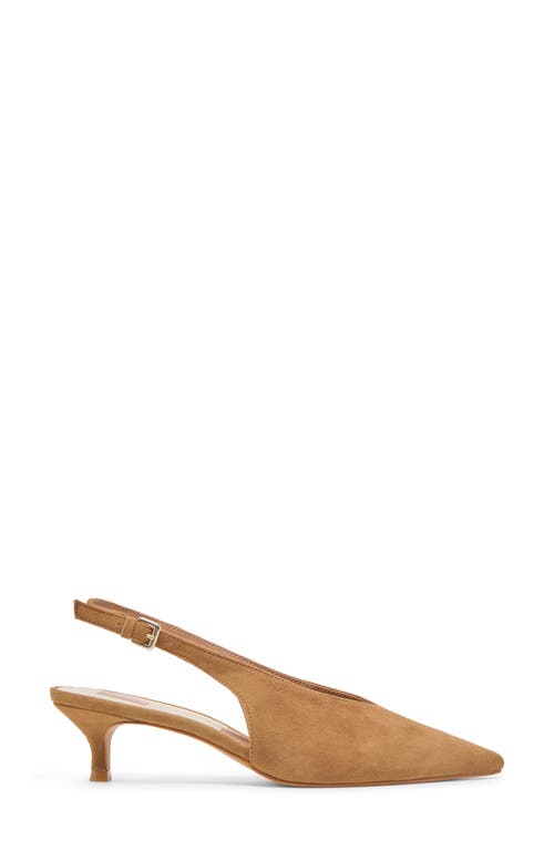 Dolce Vita Alenna Slingback Pointed Toe Kitten Heel Pump In Brown