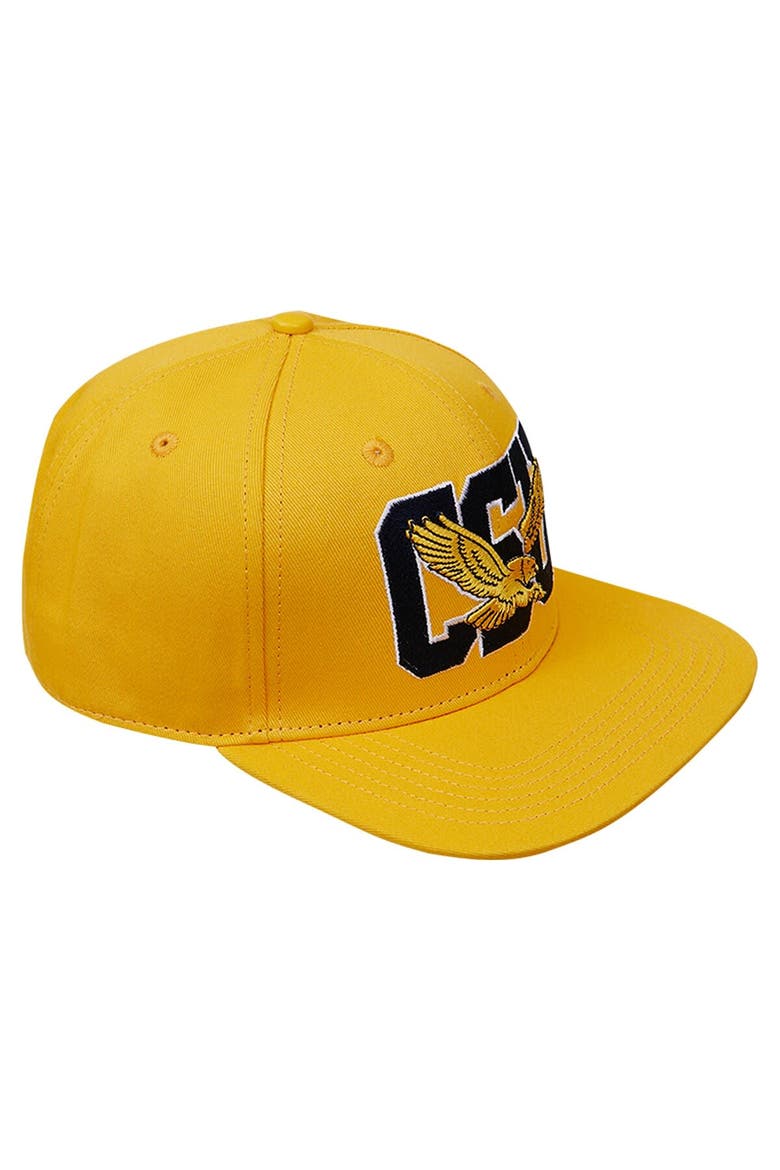 Men's Pro Standard  Gold Coppin State Eagles Evergreen CSU Snapback Hat, Alternate, color, Yellow
