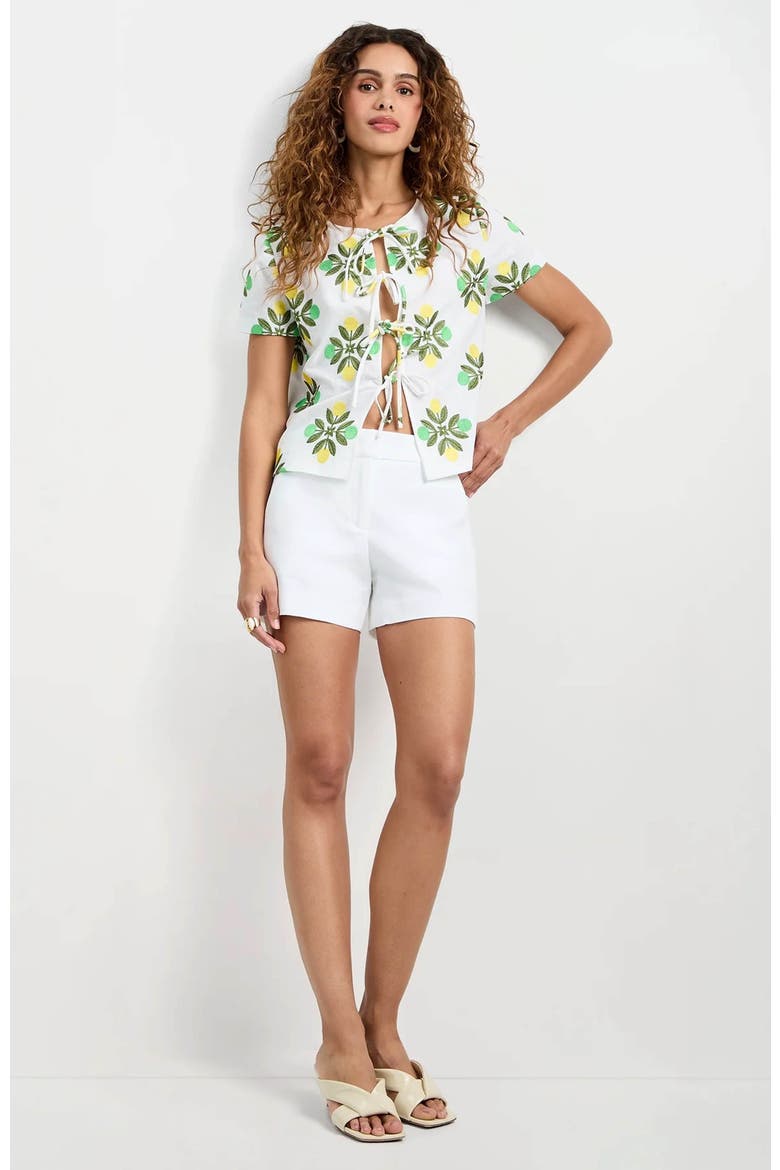 Salina Tie-Front Top, Main, color, Limone Embroidery