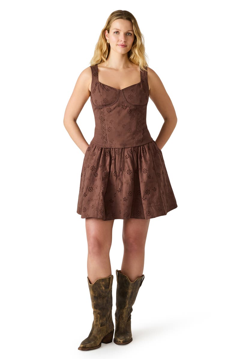 Steve Madden Dixie Embroidered Sleeveless Minidress, Alternate, color, Walnut