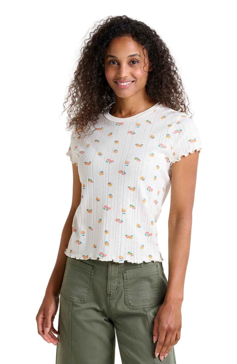 Foothill Pointelle SS Baby Tee