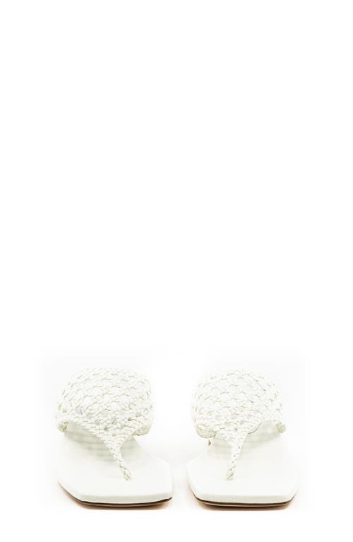 ANDREA GOMEZ ANDREA  GOMEZ BRENDA SANDAL