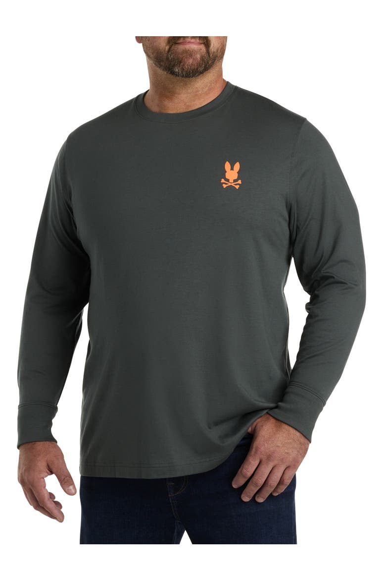 Richardson Long-Sleeve Graphic T-Shirt, Main, color, URBAN CHIC