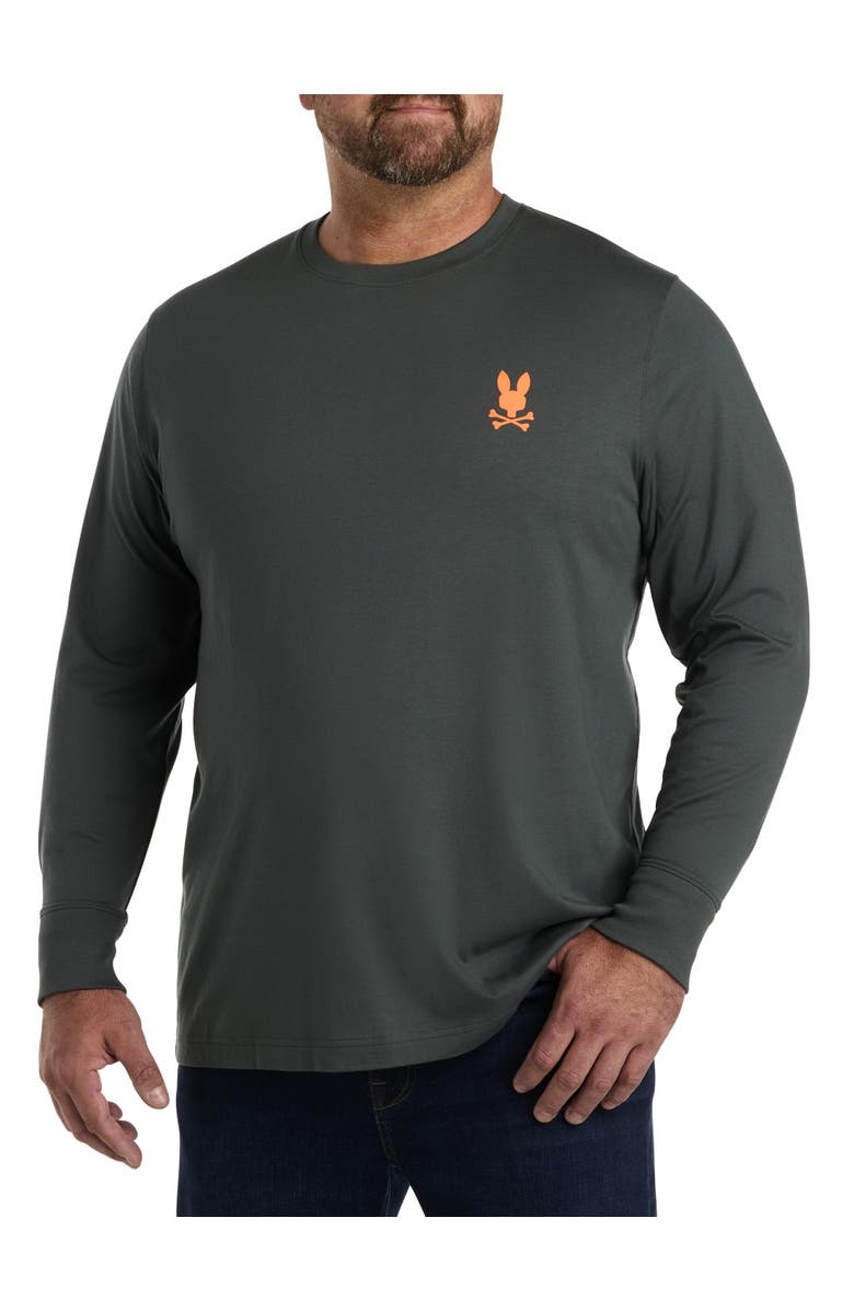 Psycho Bunny Richardson Long-Sleeve Graphic T-Shirt, Main, color, 