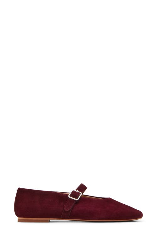 Steve Madden Women's Dreaming-s Almond Toe Flats In Burgundy Suede