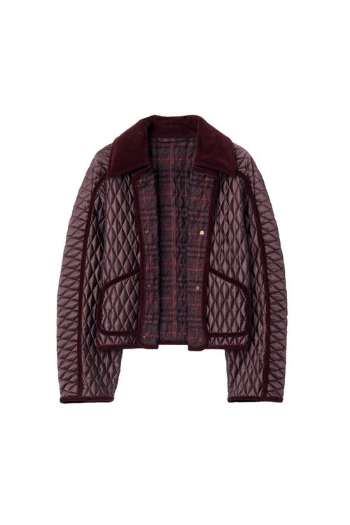 Burberry Floriston Corduroy-trim Quilted Barn Jacket In Brown