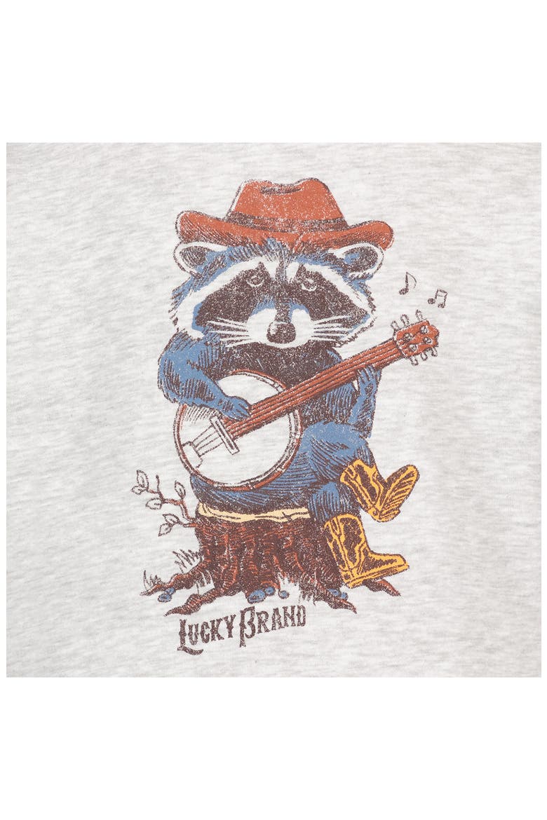 Kids' Banjo Raccoon Hoodie, Alternate, color, LIGHT GREY HEATHER