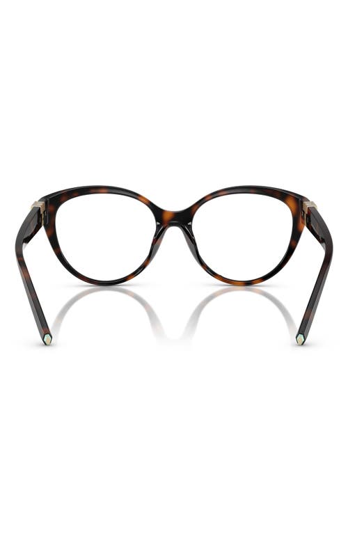 Tiffany & Co . 54mm Cat Eye Optical Glasses In Havana