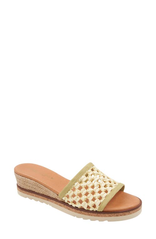 Andre Assous André Assous Nessie Platform Wedge Sandal In Pistachio