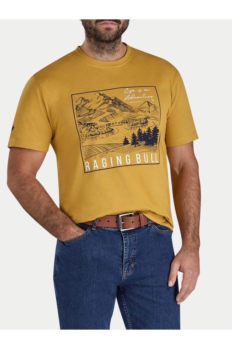 Mountain Adventures Printed T-Shirt, Alternate, color, Mustard