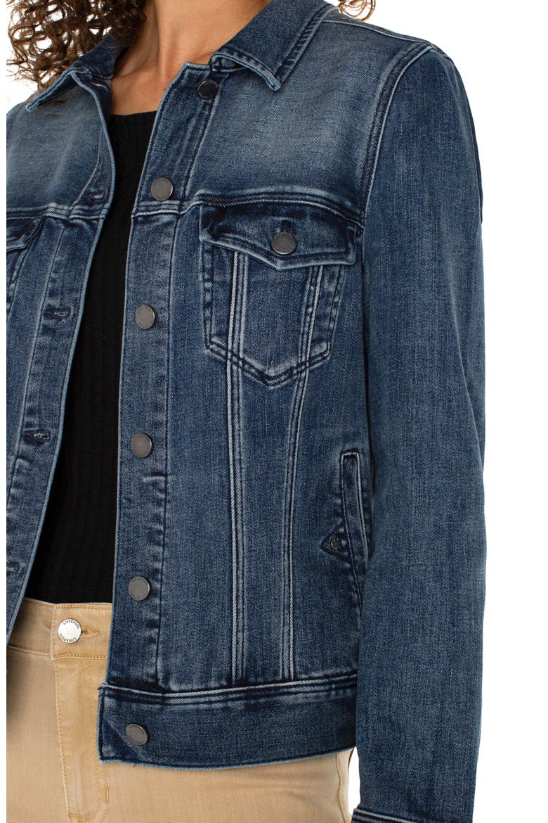 Classic Denim Jacket, Alternate, color, PONDERAY