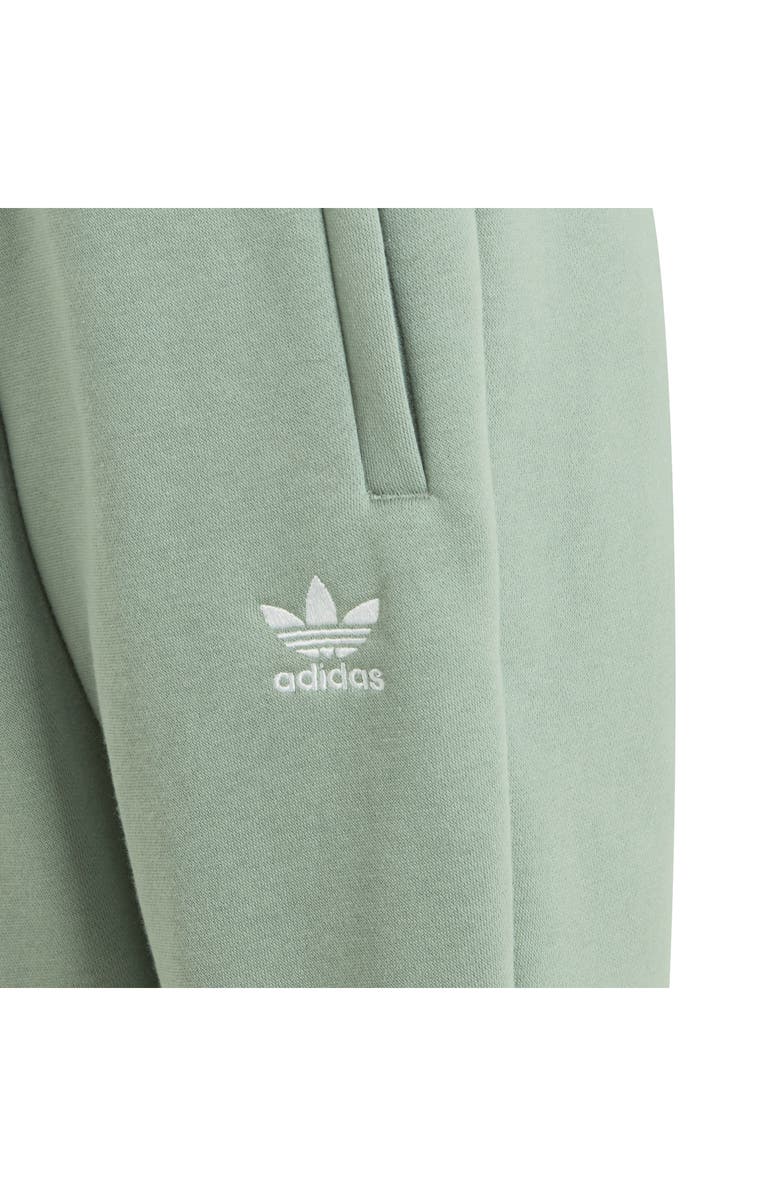 adidas Kids' Essentials Hoodie & Joggers Set, Alternate, color, 