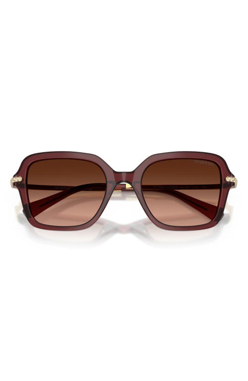 Swarovski 50mm Small Irregular Sunglasses In Brown
