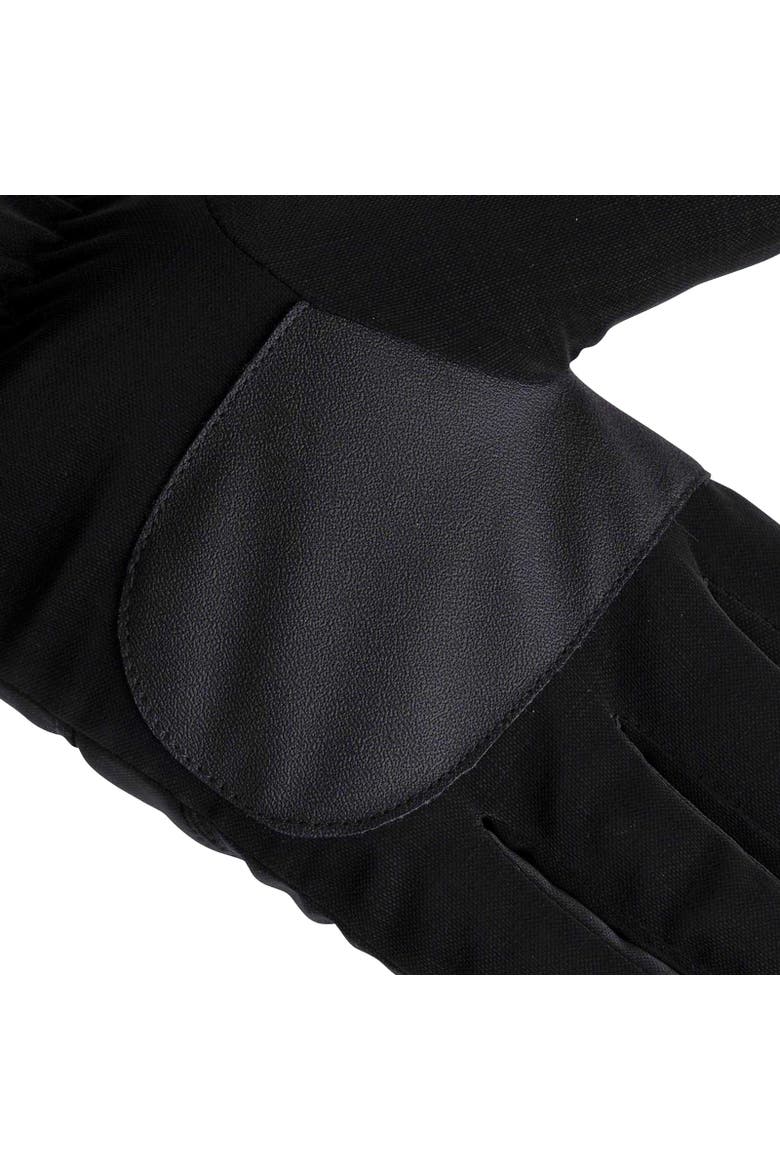 Gender Inclusive Tista Ski Gloves, Alternate, color, Black
