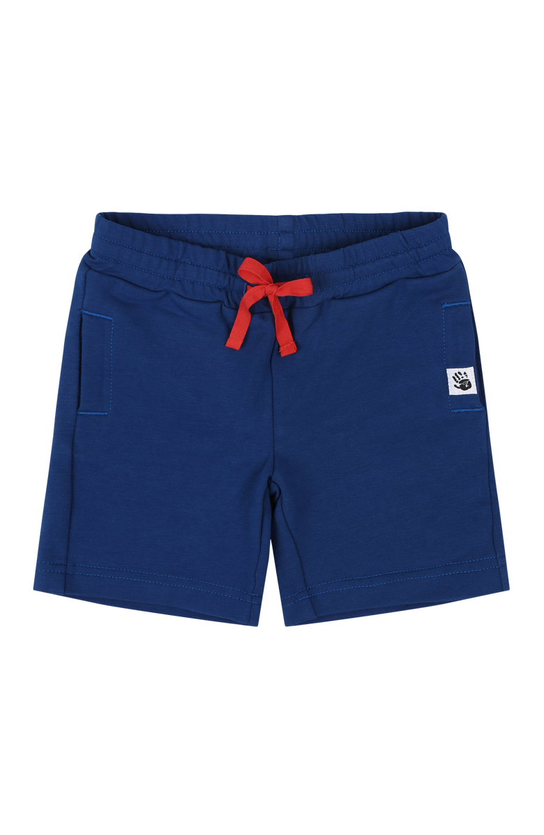 Mixed Up Clothing Boys Sweatshorts, Main, color, Sodalite Blue