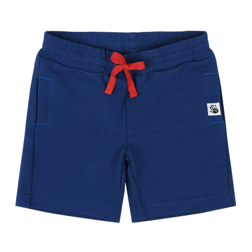 Mixed Up Clothing Boys Sweatshorts In Sodalite Blue