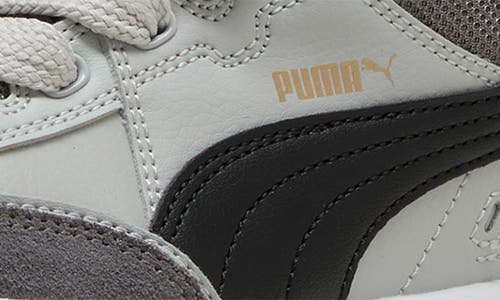 Puma Kids' Park Lifestyle Sk8 Sneaker In Multi