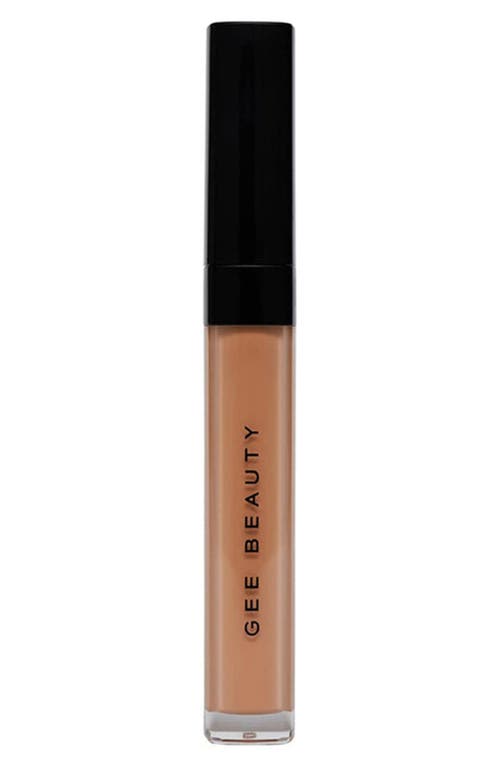 GEE BEAUTY Brightening Concealer in 6  product