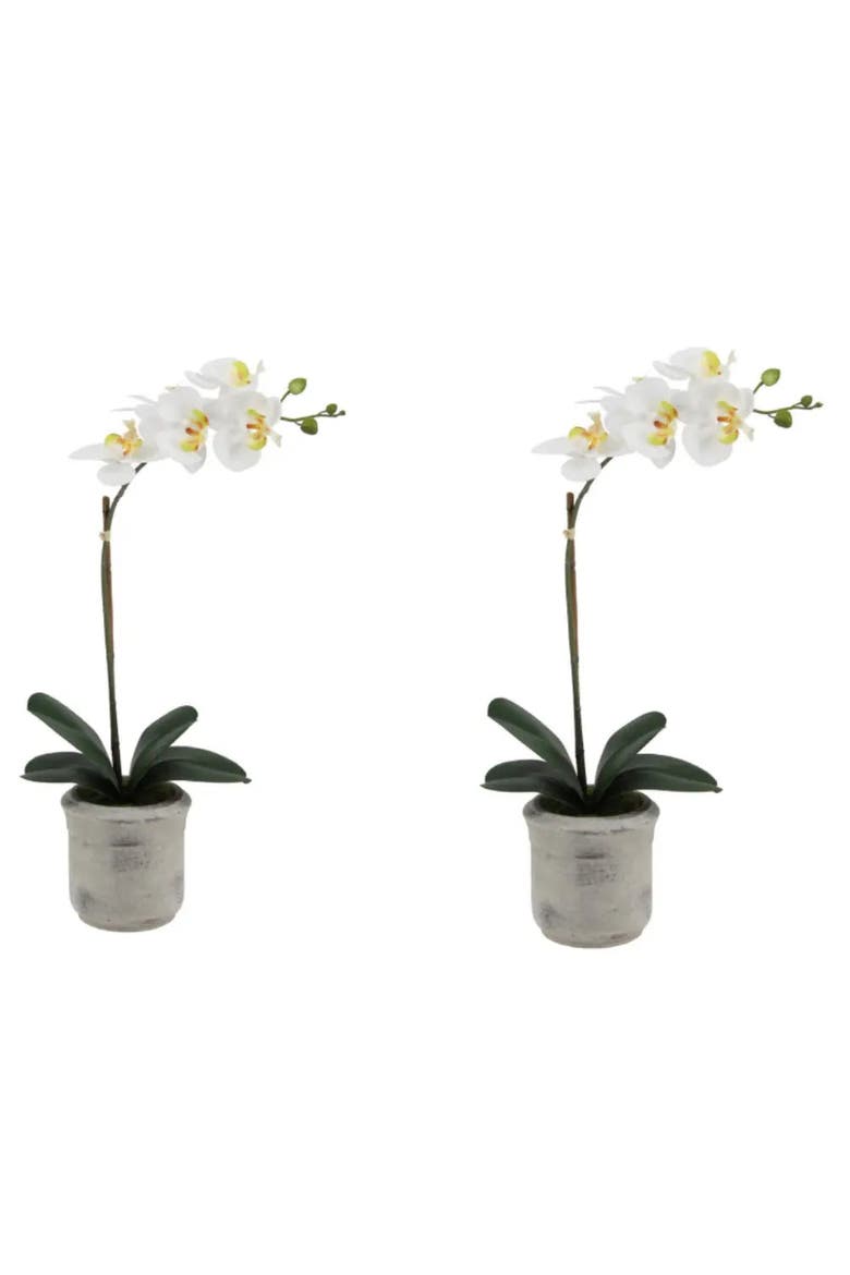 22" Artificial White Phalaenopsis Orchids Set of 2, Alternate, color, White