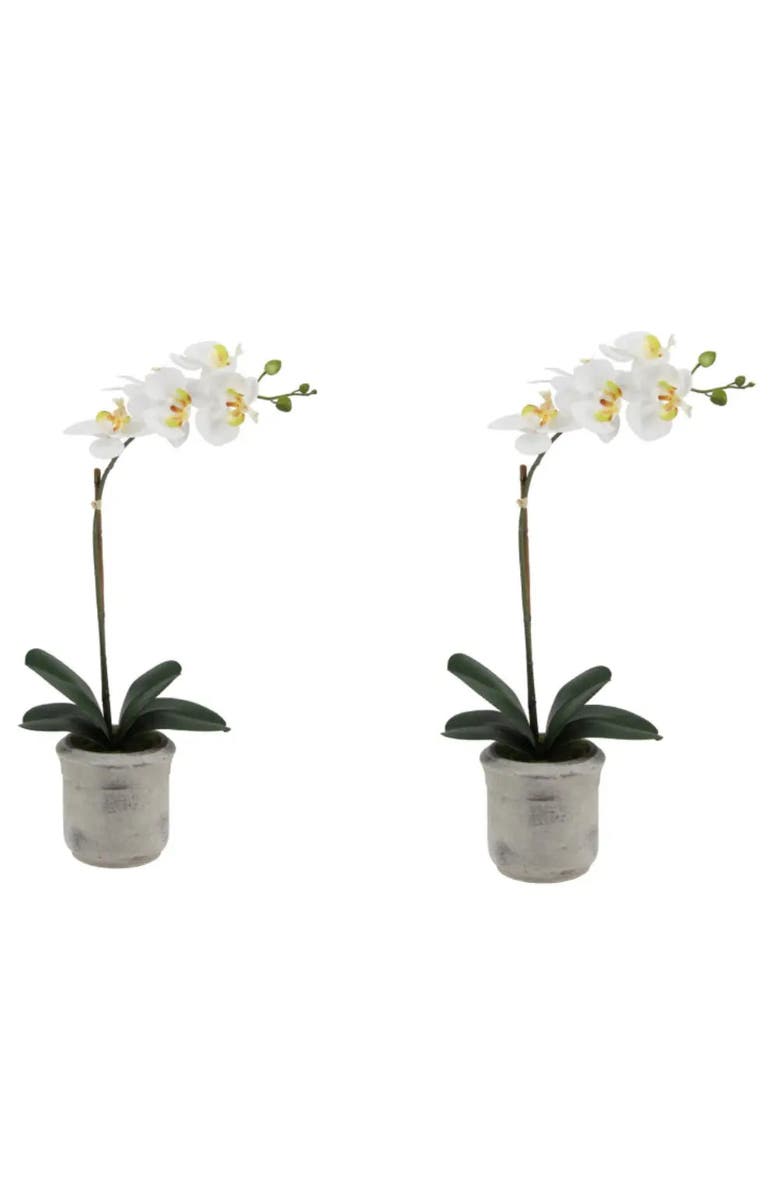 CG Hunter 22" Artificial White Phalaenopsis Orchids Set of 2, Alternate, color, White