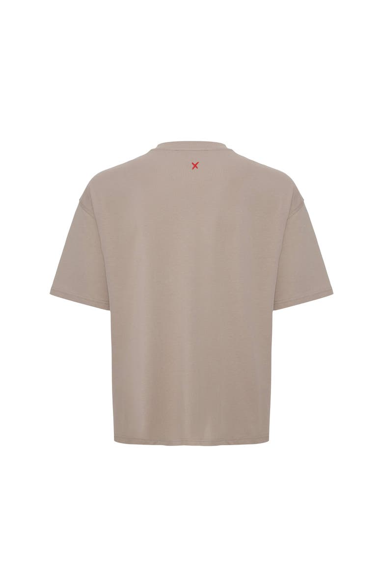 PCFG Pure Cotton Regular Fit Tshirt, Alternate, color, Beige