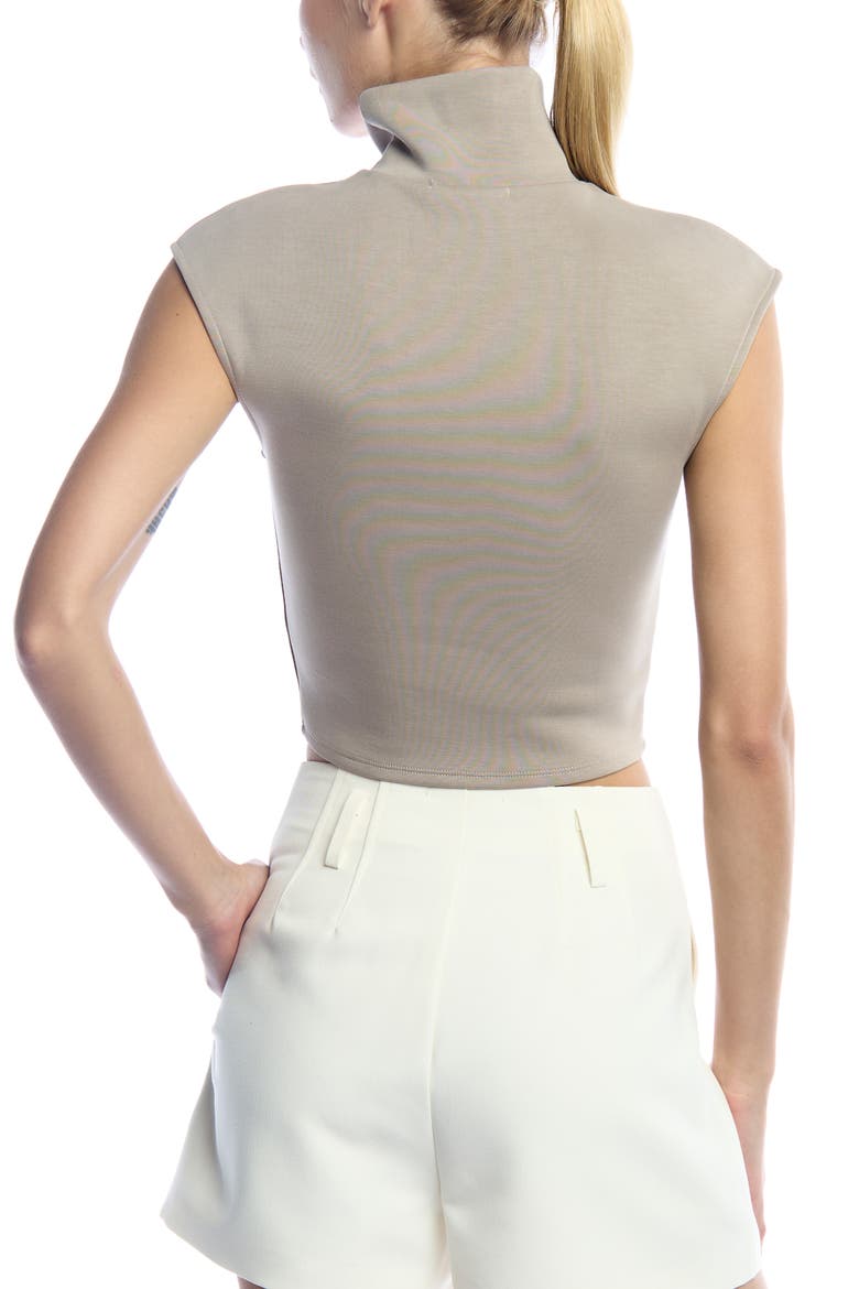 Winslow Sleeveless Turtleneck, Alternate, color, Mocha