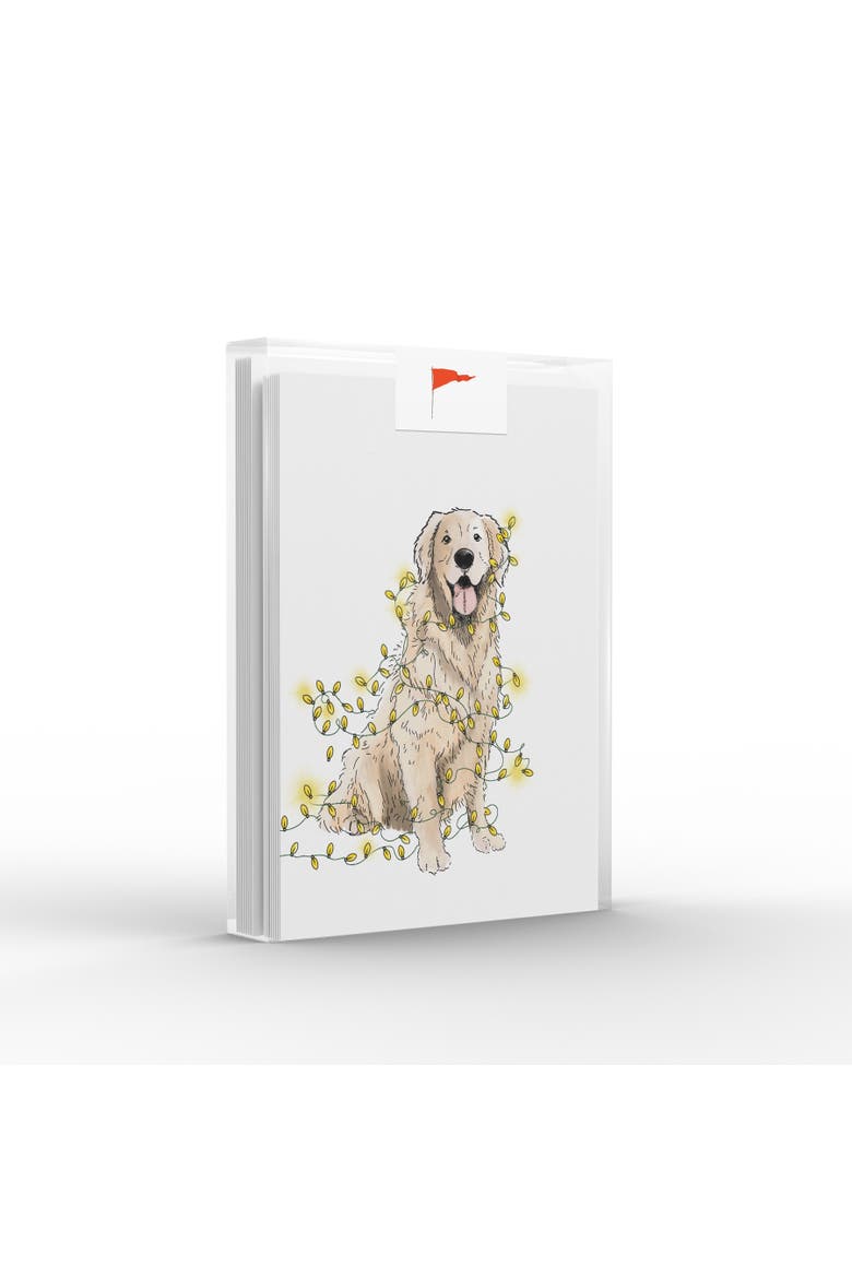 Holiday/Christmas Lit Retriever Greeting Card Pack, Main, color, Multi-Pack