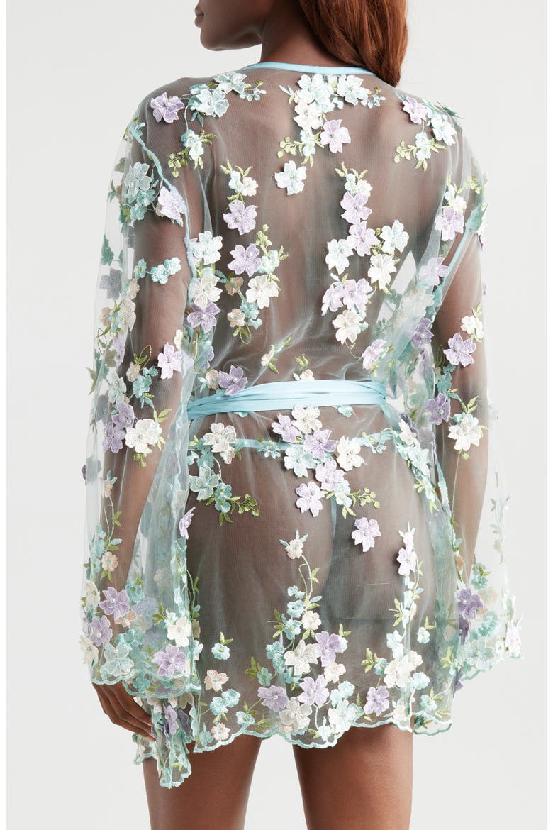 Floral Embroidered Sheer Mesh Robe, Alternate, color, POWDER BLUE MULTI