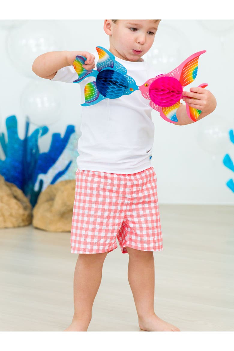 Baby/Toddler Boys UPF50+ Gingham Swim Trunks, Alternate, color, Coral Gingham
