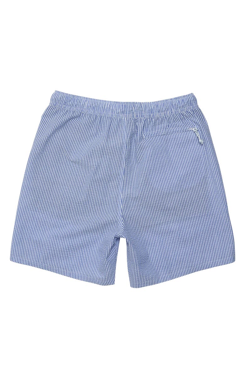 Snapper Rock Comfort Lined Swim Shorts, Alternate, color, Parisian Summer