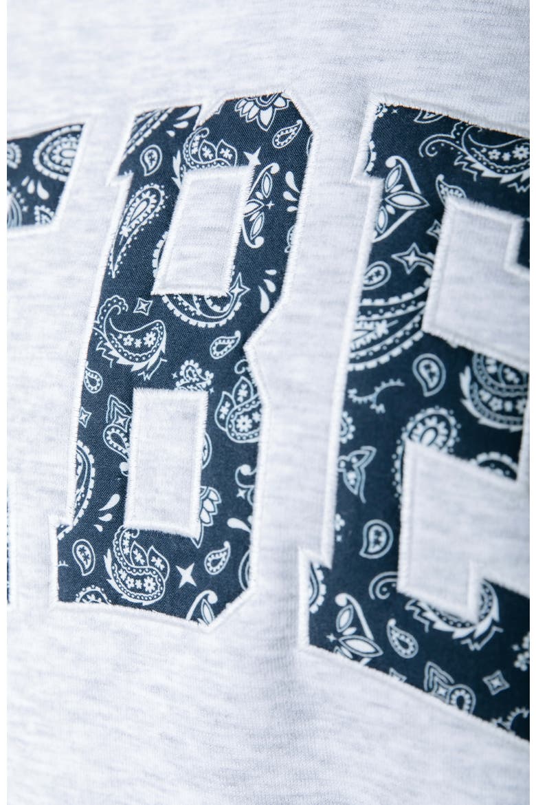 Rebel Paisley Patch Dropped Shoulder Sweat, Alternate, color, Light grey melange