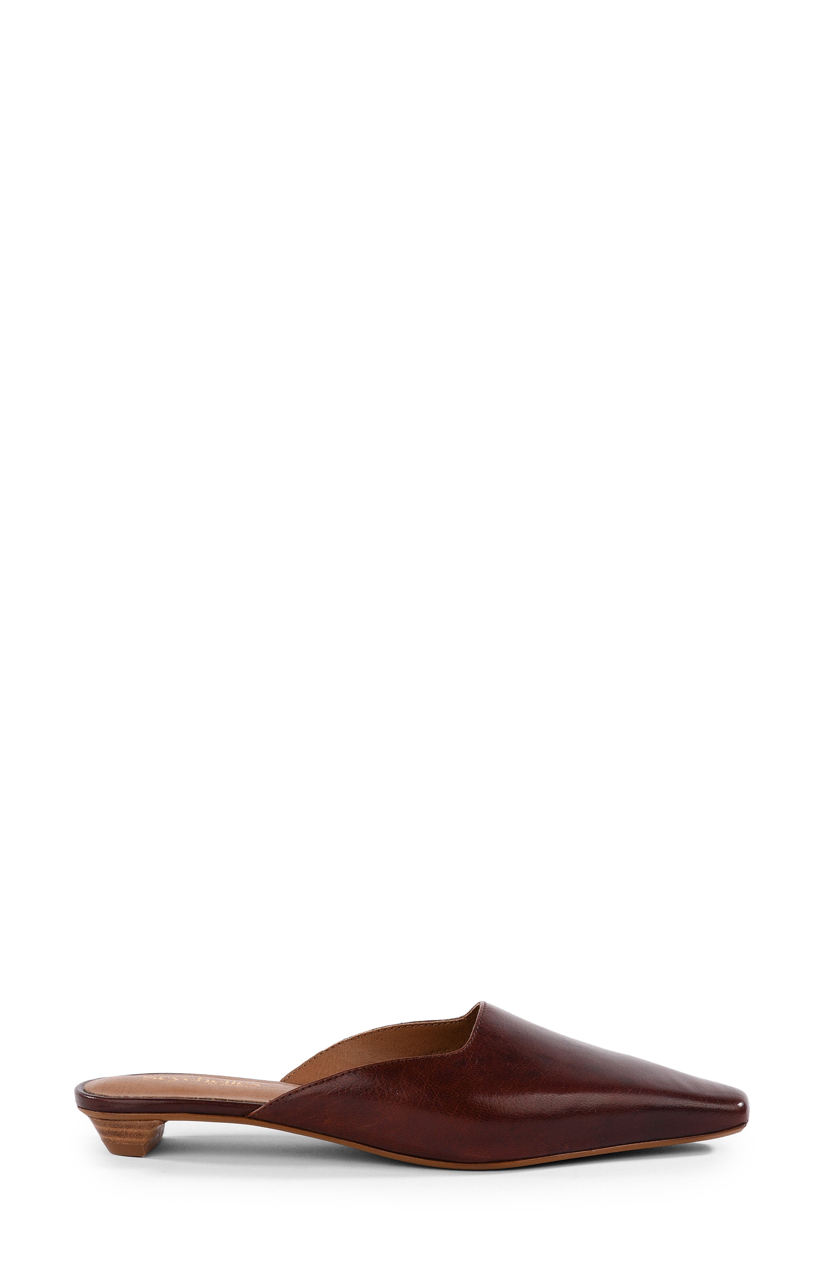 Mocktail II Pointed Toe Mule, Alternate, color, CHESTNUT